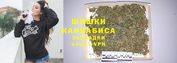 прущие грибы Абаза