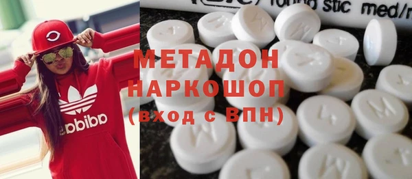 прущие грибы Абаза