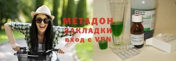 прущие грибы Абаза