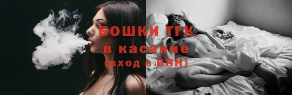 прущие грибы Абаза