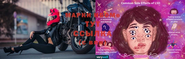 прущие грибы Абаза