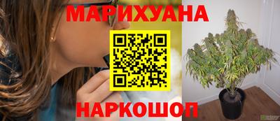 молекула духа Бердск