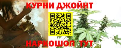 молекула духа Бердск