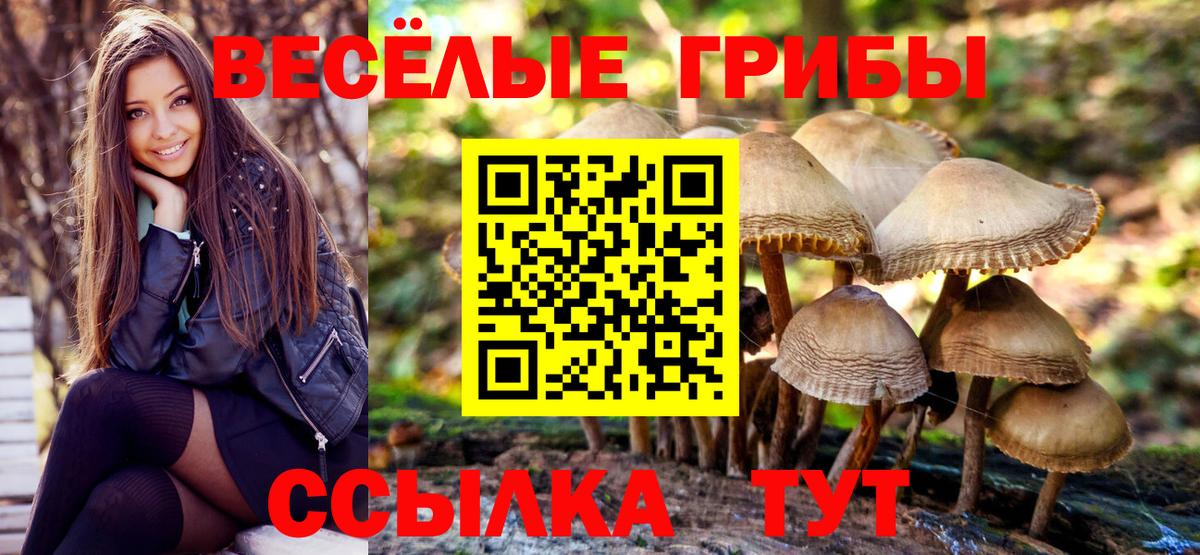 Галлюциногенные грибы Cubensis  Вход с VPN  Алапаевск 