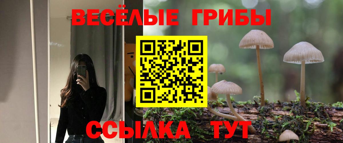 Псилоцибиновые грибы Magic Shrooms Алапаевск
